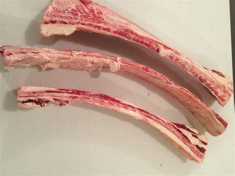 Are Beef Rib Bones Okay For Dogs Beef Poster