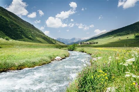 Lush Mountain Stream Flowing Around Fence Through The Valley In