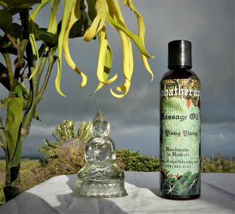 ylang ylang massage oil bath and body oil alohatherapy