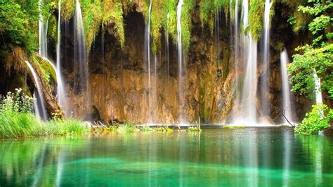 Waterfalls Pouring On River Surrounded By Green Trees