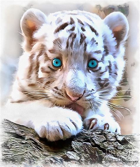 White Tiger Cub Painting By Sergey Lukashin