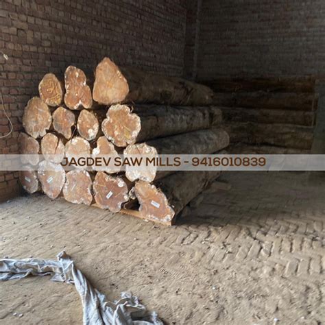 Sagwan Timber Teak Wood Moisture Content 10 At Best Price In Sirsa Jagdev Saw Mills