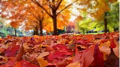 Fall Rivers Fallen Obituaries That Immortalize Their Memory