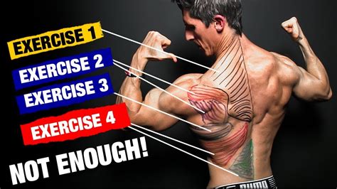 The Perfect Back Workout Sets And Reps Included Youtube