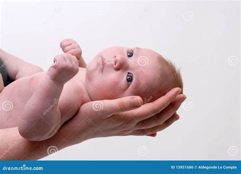 Mothers Hand Holding A Baby Head Stock Photo Image Of Male Female