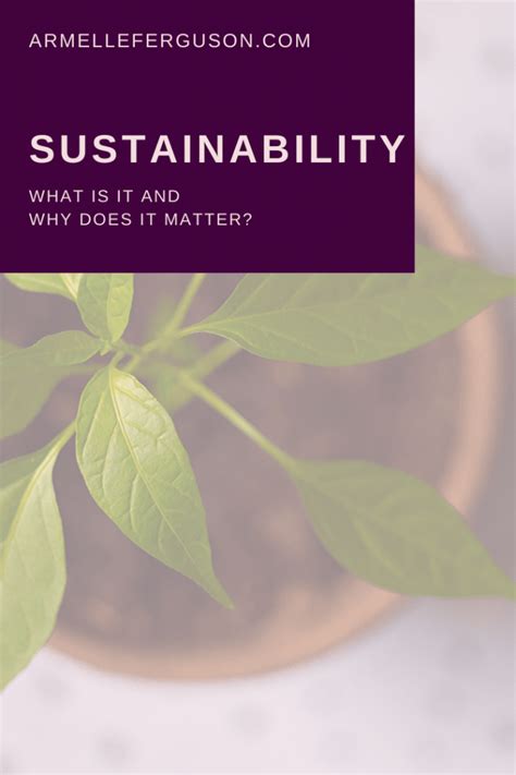What Is Sustainability And Why Does It Matter Armelle Aurelya Ferguson