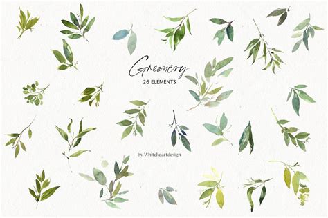 Ad Greenery Watercolor Leaves Clipart By Whiteheartdesign On