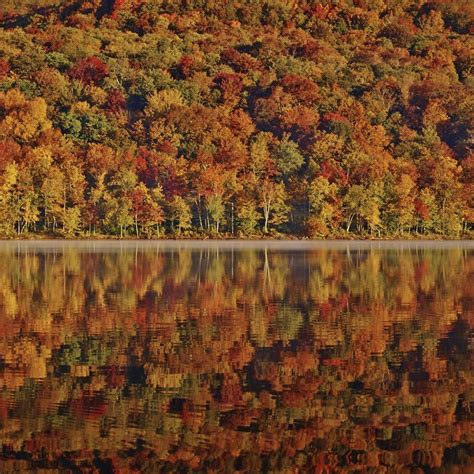 Fall In The Catskill Mountains Catskill Mountains Catskill Nature