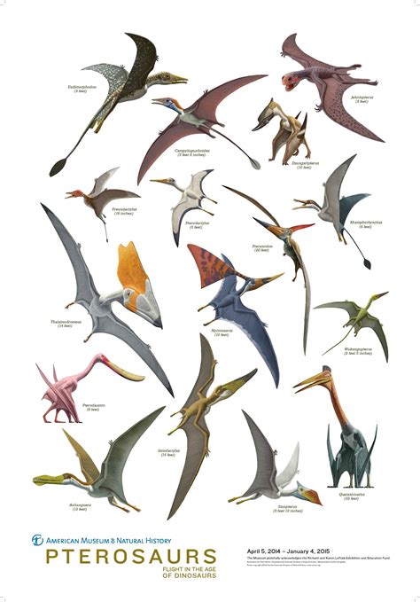 Pterosaurs Arte Animale Arte Di Dinosauro Dinosauri
