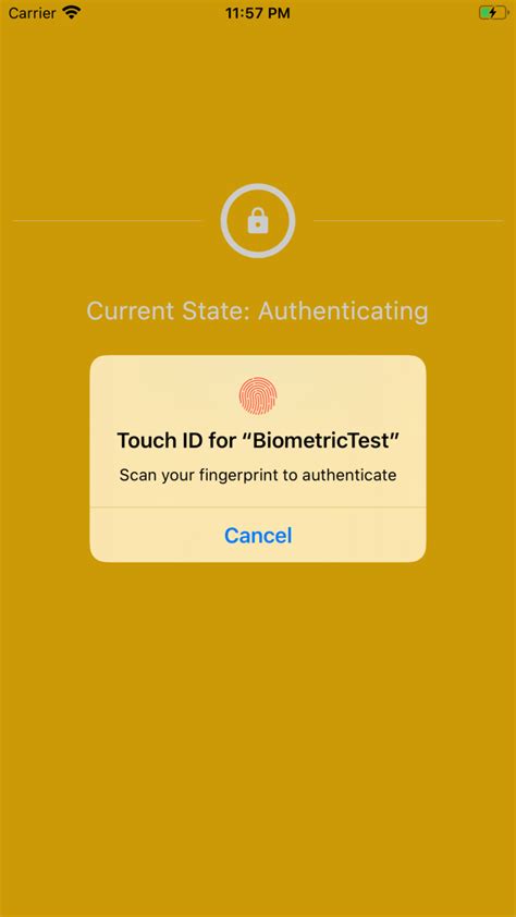 Flutter Local Authentication Using Biometrics Face Id Touch Id
