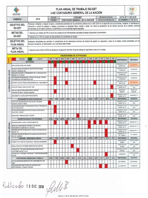 Plananualdetrabajosg Sst2019