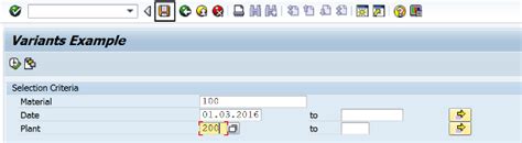 Sap Abap Central Selection Screen Variants Part Ii