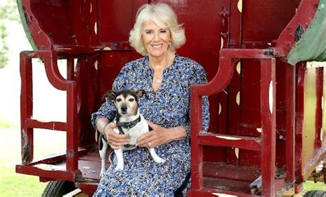 new photos of duchess of cornwall were released on her 75th birthday duchess of cornwall