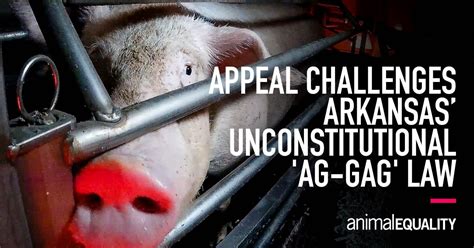 Appeal Challenges Arkansas Unconstitutional ‘ag Gag Law