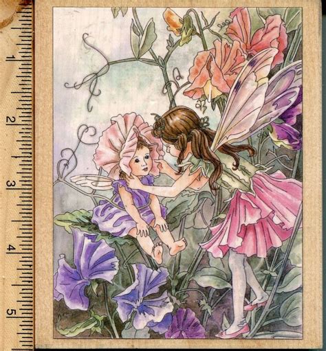 Rare Sweet Pea Flower Fairy Cicely Mary Barker Stamps Happen Rubber