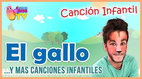 El Gallo Y Más Canciones Infantiles Youtube