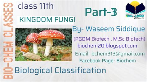 Kingdom Fungi Class 11 Biology Ncert Biological Classification