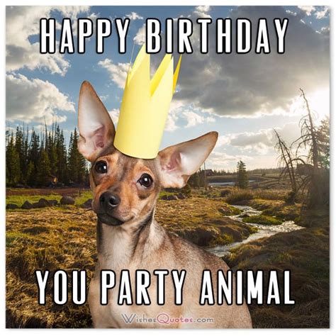 Happy Birthday You Party Animal Funnybirthdaywishes Happy Birthday