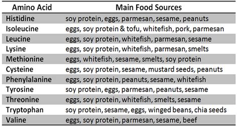 The All Essential Amino Acids Foods List You Must Know About · Healthkart