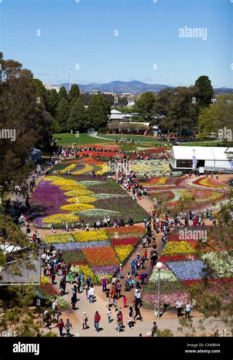 Aerial View Over The Tulip Displays At Floriade Commonwealth Park