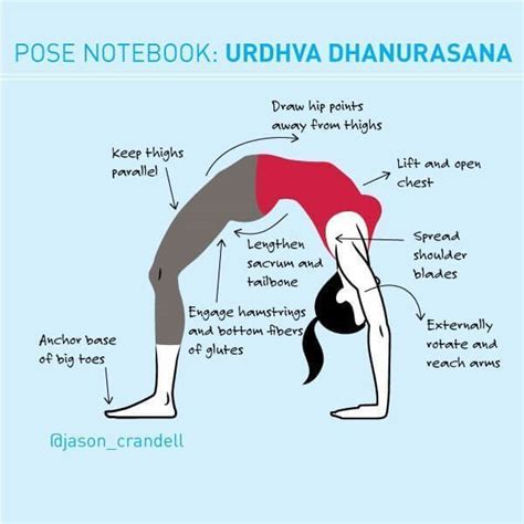 Urdhva Dhanurasana Wheel Pose Infographic Jason Crandell Yoga Method