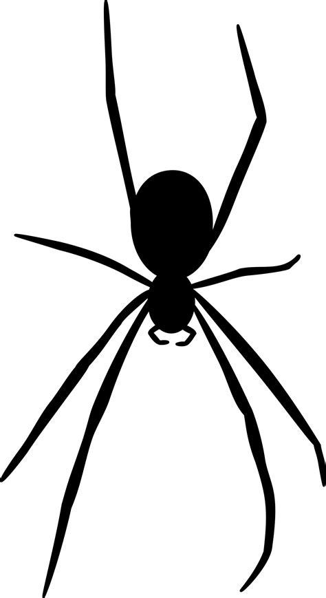 Spider Silhouette Clipart 20 Free Cliparts Download Images On