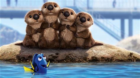 Sea Lions Finding Dory Wallpapers In  Format For Free Download