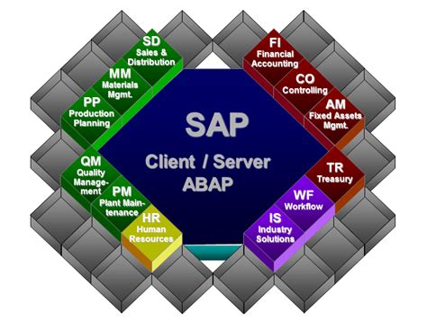 How Does Sap Work Easy Explanation With An Example