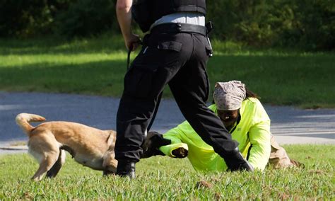 Police K9 Seminars Affordable And Effective K9 Training Seminars And Courses