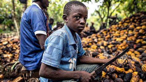 Petition · Raise The Salaries Of Impoverished Cocoa Farmers In The