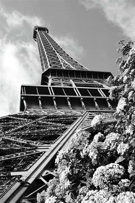 Spring In Paris France Flowers Beneath Eiffel Tower Unique Perspective