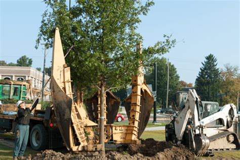 53 nos of big trees successfully transplanted in road widening projects at krishnagiri,tamilnadu,india, our technically qualified horticulturists team. Residential Tree Planting and Transplanting Services ...