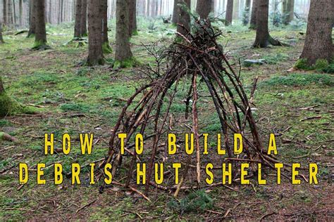How To Build A Debris Hut Survival Shelter Preppers Will
