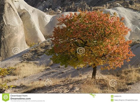 Autumn In Cappadocia Stock Photo Image Of Asia Nevsehir 34602476