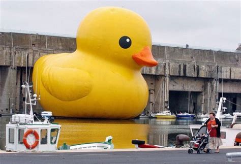 Huge Yellow Rubber Duckie Made By Florentijn Hofman On A World Tour