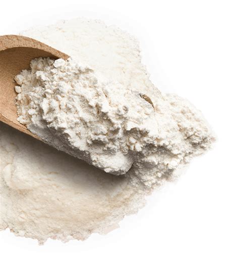 Flour Png Image Purepng Free Transparent Cc0 Png Image Library