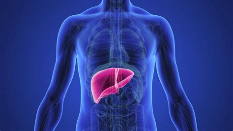 6 Early Signs Your Liver Is Damaged