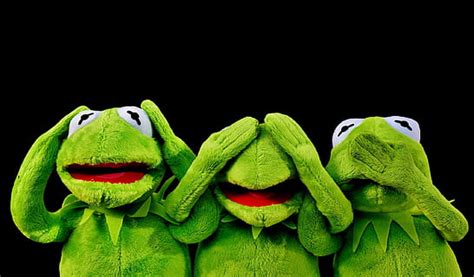 Hd Wallpaper Kermit The Frog The Muppet Show 2086x2754 Animals Frogs