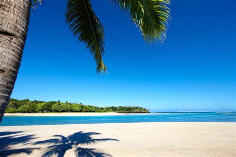 Cheap Flights To Fiji Book Fiji Flights Online