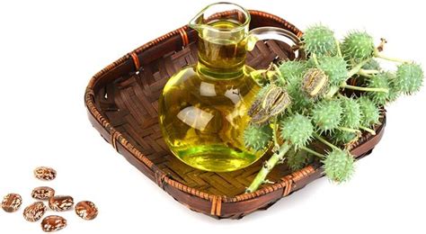 Also read everything you need to know about jojoba oil. Castor Oil in Hindi: Arandi ka Tel Benefits (Fayde) in ...