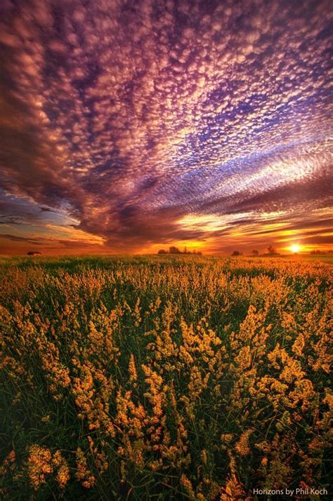 For Some A Way To Feel Wisconsin Horizons By Phil Koch Lives In