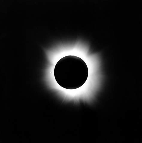 Astronomy A Solar Eclipse 1937 Photograph By Everett