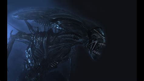 I figured, let's make them fight and see who wins! Alien vs Predator 2010 La Seconda Regina - Laboratorio ...