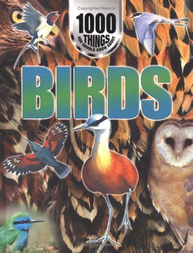 1000 Things You Should Know About Birds 1000 Things You Should Know