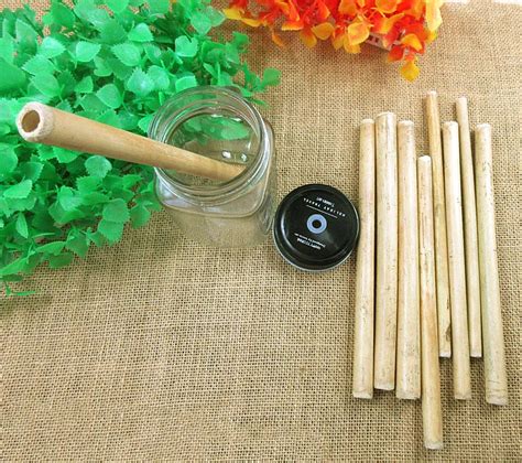New 2 Pcs Natural Organic Bamboo Drinking Straw For Party Birthday