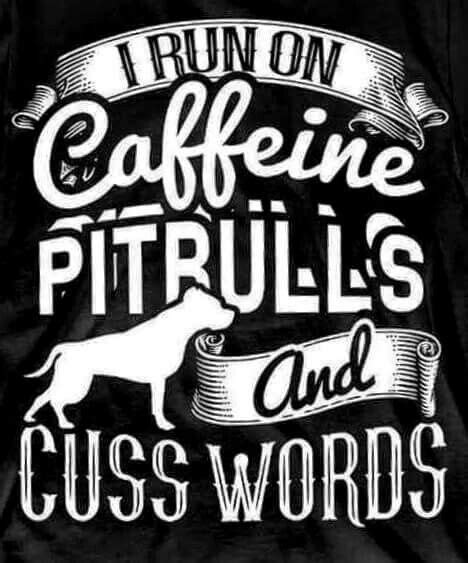 Pin By Albert Torres On Pittbulls My First Love Cuss Words First Love Words