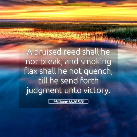 Matthew 1220 Kjv A Bruised Reed Shall He Not Break And Smoking