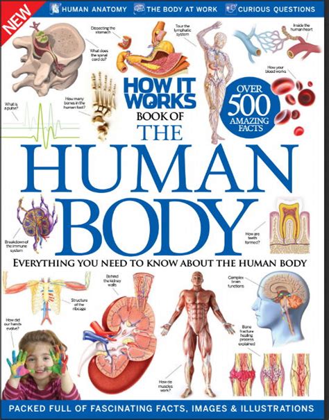 How It Works Book Of The Human Body 2016 Pdf Free Medical Books