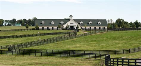 Padua Stables Kentucky Farm Sold To Brazils Borges