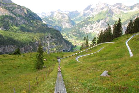 Kandersteg Switzerland Alpine Slide Travel Around The World European